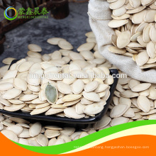 2019 good quality cheap shine skin pumpkin seeds